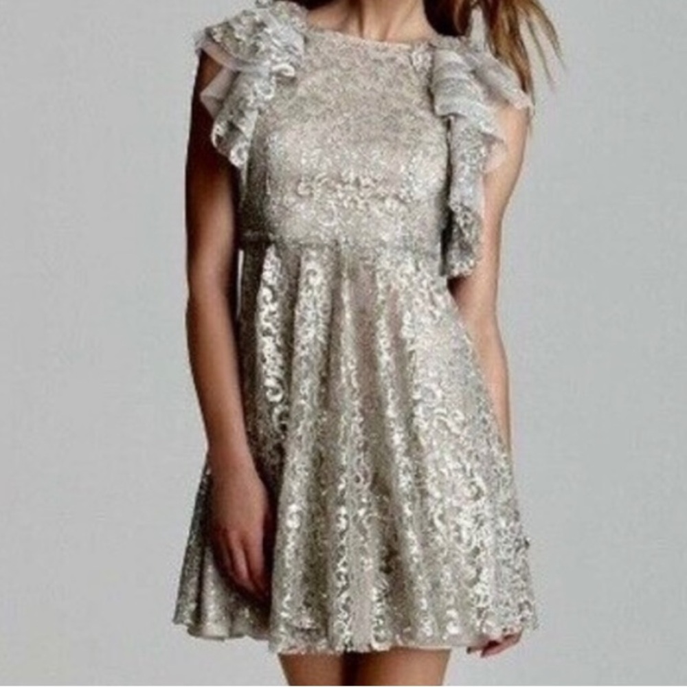 BCBGMaxAzria Silver Lace Gown